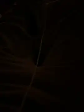 themasteer69 online show from 01.17.26