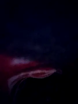 sana14 online show from 02.25.26