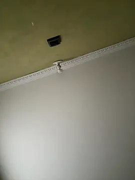 aurora divine online show from 11.08.25