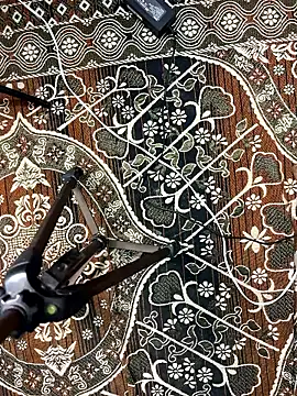 poision51 online show from 01.08.26