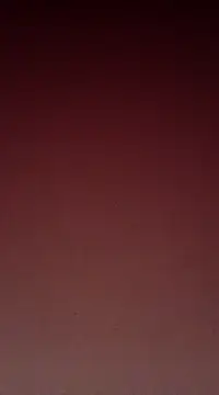 Sexy-Mona2 online show from 12.13.24