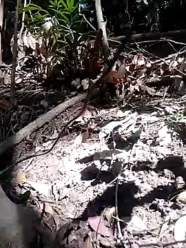 Snapshot of subaru8291 chatting on 11.05.25 subaru8291 online show from 11.05.25