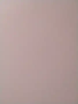 PracticalGum40 online show from 12.02.24