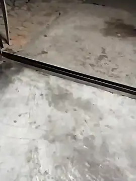 PracticalGum40 online show from 12.03.24