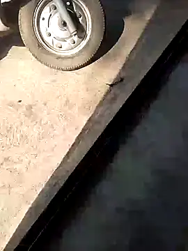 PracticalGum40 online show from 12.10.24