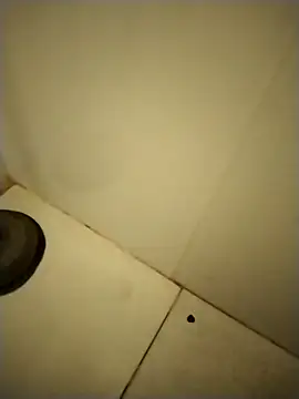 PracticalGum40 online show from 12.12.24