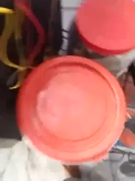 Snapshot of PracticalGum40 chatting on 02.02.26 PracticalGum40 online show from 02.02.26