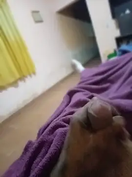 carloshot31 online show from 03.31.26