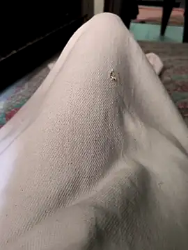 faaseel online show from 10.28.25