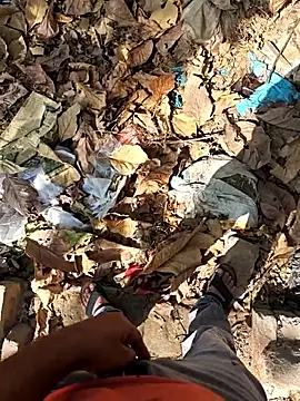 faaseel online show from 04.23.26