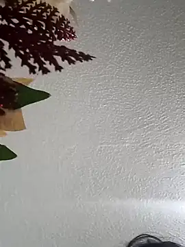 Snapshot of Naomy_veracruz_ chatting on 02.11.26 Naomy veracruz online show from 02.11.26