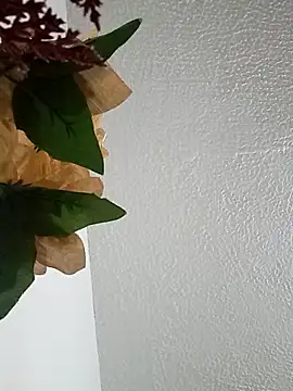 Snapshot of Naomy_veracruz_ chatting on 02.24.26 Naomy veracruz online show from 02.24.26