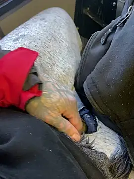 Snapshot of Fuckboy4public chatting on 12.29.24 Fuckboy4public online show from 12.29.24