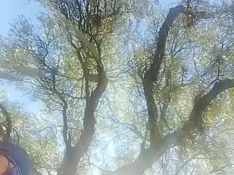 Snapshot of Darly_Gomez chatting on 12.22.24 Darly Gomez online show from 12.22.24