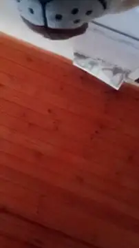 Snapshot of Darly_Gomez chatting on 12.31.24 Darly Gomez online show from 12.31.24