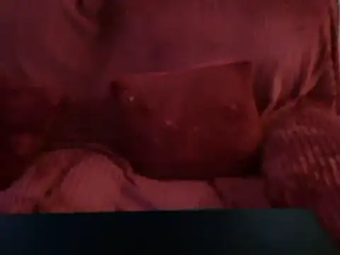 Snapshot of Emmamilfita chatting on 02.25.25 Emmamilfita online show from 02.25.25