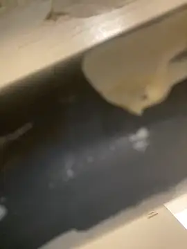 Mme Milahotspicy online show from 10.19.25