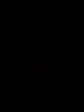 Feli230990 online show from 10.08.25