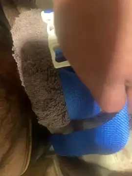 Snapshot of edgher646 chatting on 02.11.25 edgher646 online show from 02.11.25