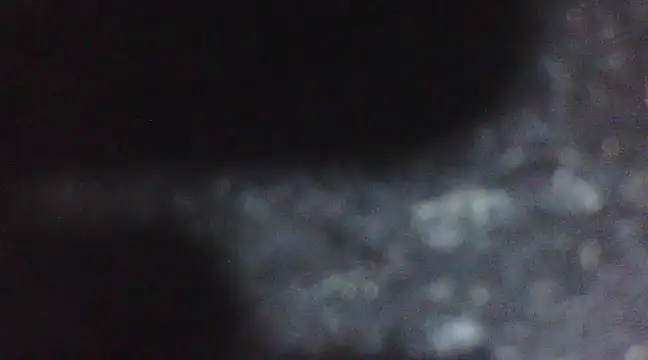 Penis58 online show from 02.10.25