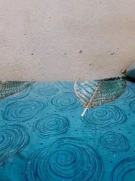 Linda-53 online show from 03.27.26