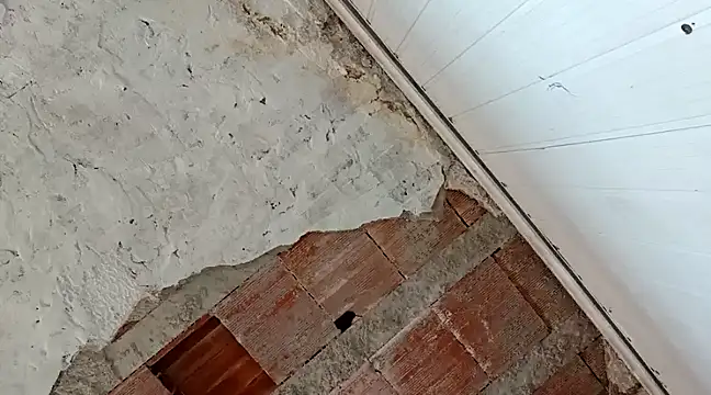 Snapshot of frotasso chatting on 01.18.25 frotasso online show from 01.18.25