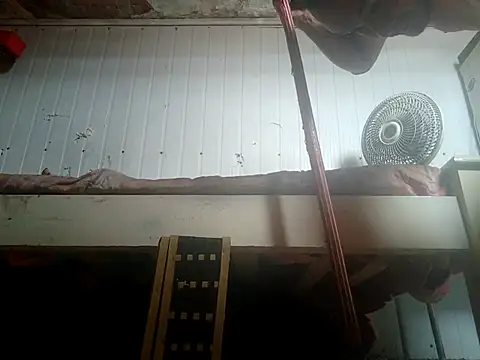 Snapshot of frotasso chatting on 02.14.26 frotasso online show from 02.14.26