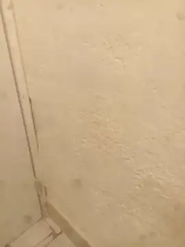 Snapshot of FlacoRiaton chatting on 02.10.26 FlacoRiaton online show from 02.10.26