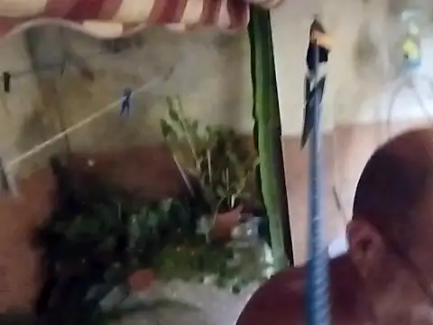 soy 5 online show from 09.10.25