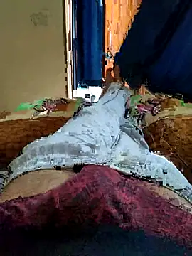 Anki6042 online show from 02.27.25