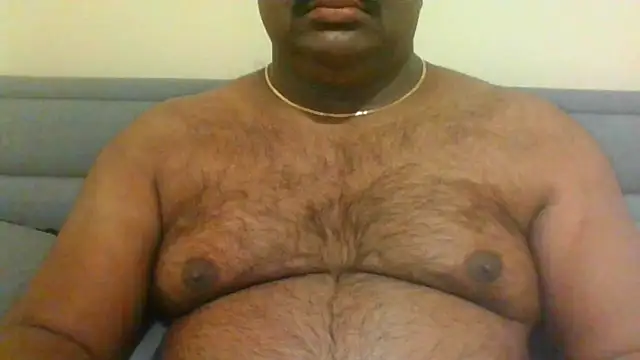 indianbearbot online show from 01.11.25