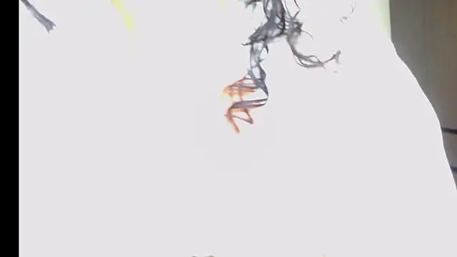 Snapshot of arianna_ros3 chatting on 02.16.26 arianna ros3 online show from 02.16.26