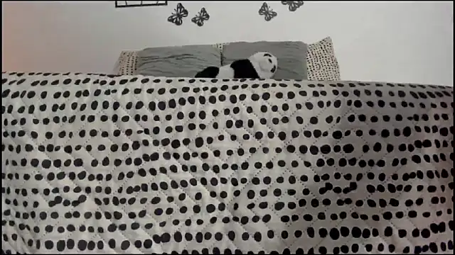 Keiny-Rave online show from 03.18.25