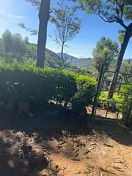 Hillz king 98 online show from 02.04.25