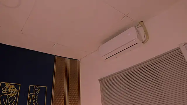  dakota a online show from 01.21.25