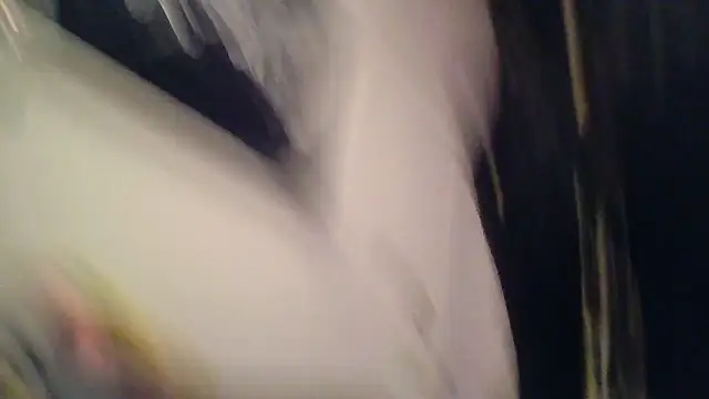 SilverandFox online show from 11.05.25