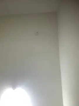 Snapshot of bidex002 chatting on 05.16.26 bidex002 online show from 05.16.26