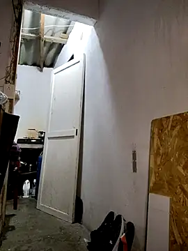 gatoalex89 online show from 02.19.25