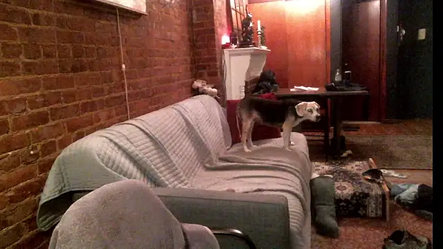 Johnny Bottoms online show from 09.24.25