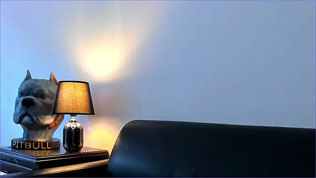 Snapshot of BradLeon_ chatting on 10.08.25 BradLeon online show from 10.08.25