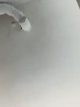 ekskekejejej online show from 09.28.25