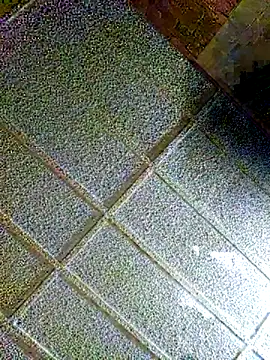 zaneporter46 online show from 02.04.25