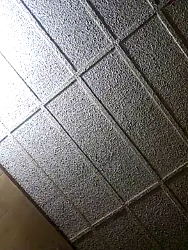 zaneporter46 online show from 02.08.25