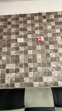 Sophia cyrus11 online show from 04.19.26