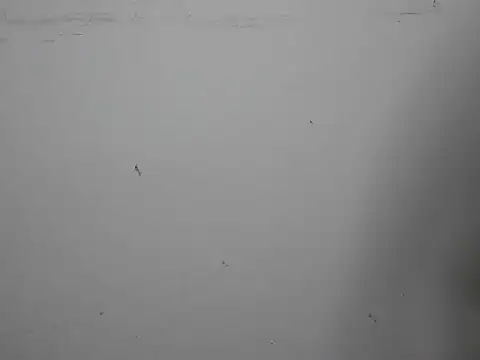 GoddessGlide online show from 03.16.25