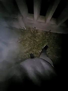 tesaodaweb online show from 04.20.26