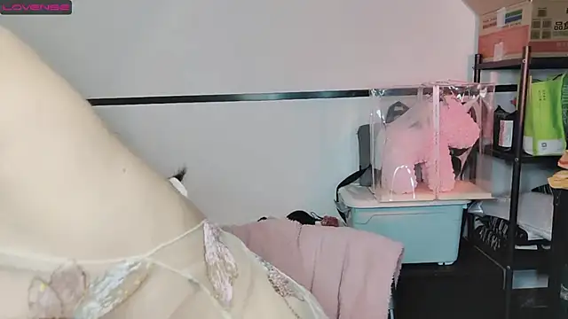 Snapshot of diandian-866 chatting on 02.20.25 diandian-866 online show from 02.20.25