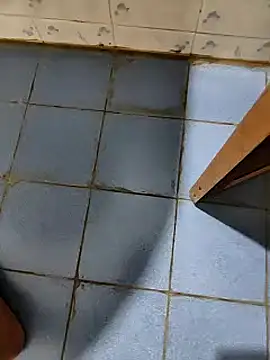 dreamers dick online show from 01.09.25