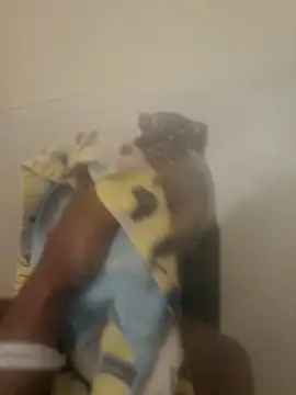 Snapshot of Looking4Jerries chatting on 12.31.24 Looking4Jerries online show from 12.31.24