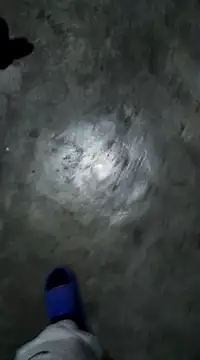 RODRI POLLADURA online show from 01.06.25